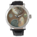 Search for shell watches Conch seashell