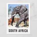 Search for elephant postcards Animal