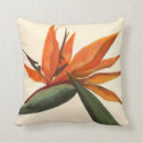 Search for bird of paradise cushions Orange