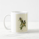 Search for warblers mugs Audubon