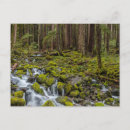 Search for washington state parks postcards Olympic national park