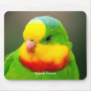 Search for australian birds electronics Parrot