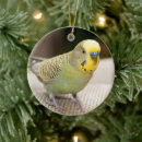 Search for cockatiel christmas tree decorations Animal