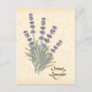 Search for perfum postcards Flower