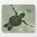 Search for turtle picture electronics Sand