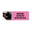 Search for siamese return address labels Cat