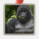 Search for gorilla christmas tree decorations Species
