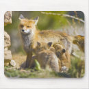 Search for breckenridge mouse mats Nobody