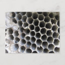 Search for hive postcards Bee
