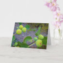 Search for figs cards Trees