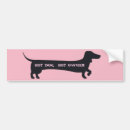 Search for dog hot bumper stickers Dachshund