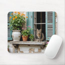 Search for window ledge Cat