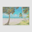 Search for palm tree tissue paper Decorative