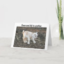 Search for funny sons birthday cards Niece