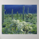 Search for pipe organ posters Landscape