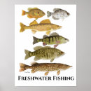 Search for pike fishing posters Walleye