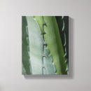 Search for macro canvas prints Floral