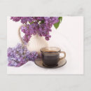Search for brighten your day postcards Flowers