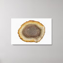 Search for petrified posters Mineral