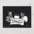 Search for retro cat birthday cards Kittens