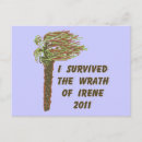 Search for surviving postcards Survivor