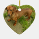 Search for hot dog christmas tree decorations Puppy