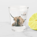 Search for cow shot glasses Scotland