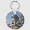 Search for african key rings African grey parrot