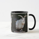 Search for pygmy goat mugs Goats