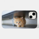 Search for cute baby kitten iphone cases Pet