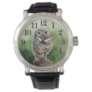 Search for owl watches Bird