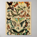 Search for papillon vintage posters French