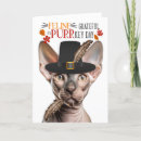 Search for sphynx cat cards Cats