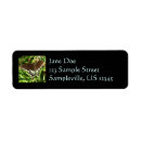 Search for black floral return address labels Butterfly