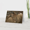 Search for slow cards Photograph