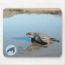 Search for environment mouse mats Beach