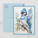 Search for blue watercolor postcards Wildlife
