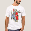 Search for anatomy and physiology Health