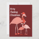 Search for flock of birds cards Flamingo