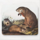 Search for woodchuck mouse mats Wildlife