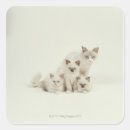 Search for colourful people stickers Photography