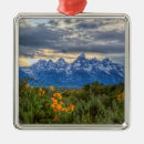 Search for jackson hole christmas tree decorations Landscape