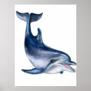 Search for dolphins art Sea