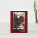 Search for funny cocker spaniel cards Friend