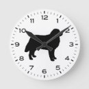 Search for mountain clocks Bernese mountain dog