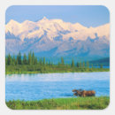 Search for bull stickers Adult