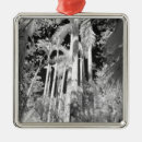 Search for naples florida christmas tree decorations Black and white