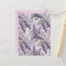 Search for lilacs postcards Pale purple