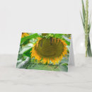 Search for emoticon cards Funny