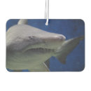 Search for animal car air fresheners Ocean